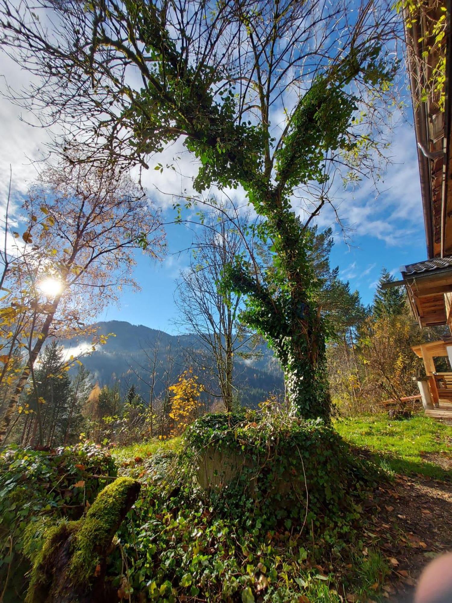 Naturetouch Steinberg am Rofan ภายนอก รูปภาพ